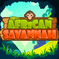 Savannah Châu Phi