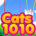 Mèo 1010